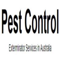 Pest Control image 1