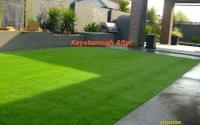 Xtreame Turf image 5