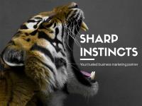 Sharp Instincts image 5