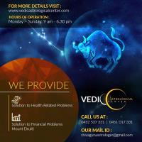 Vedic Astrological Center Kundli Reading image 2