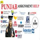 PUNJAB ASSIGNMENT HELP logo