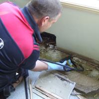 Jim's Pest Control Brisbane image 4