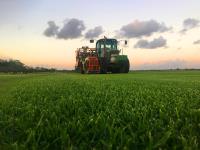 Go Turf : Turf suppliers Queensland image 2