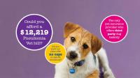 Pet Plan Australia image 5