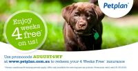 Pet Plan Australia image 9