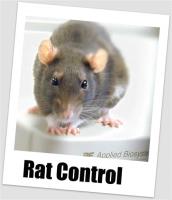 Impressive Pest Control Caboolture image 11