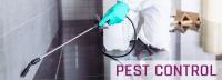 Impressive Pest Control Sandgate image 10