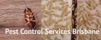 Fast Pest Control Sunshine Coast image 15