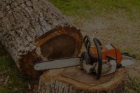 TJA Tree services | Tree  Removal Adelaide image 2