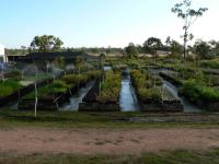 Revegetation Contractors image 3