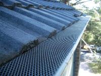 Gum Leaf Gutter Protection  image 1