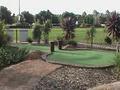 MINI GOLF at mingara image 2