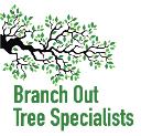 Branch Out Tree Specialists logo