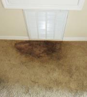 Sparkling Carpet Cleaning Melbourne image 7