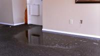 Water Damage Restoration & Repair image 3