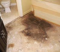 Steam Carpet Cleaning Brisbane image 4