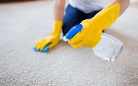 Carpet Cleaning services Brisbane image 1