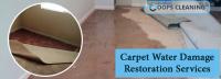 Oops Carpet Repair Brisbane image 3