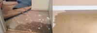 Flood Damage Restoration Sydney image 2