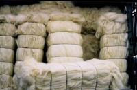 Global Sisal Fibre Company image 5