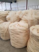 Global Sisal Fibre Company image 2