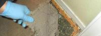 Carpet Flood Damage Restoration Brisbane image 2