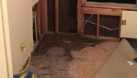 Water Damage Flood Restoration Brisbane image 2