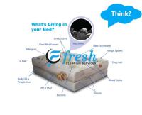 Fresh Mattress Cleaning Adelaide image 2