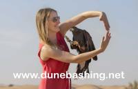 Dune Bashing Dubai image 3