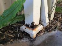 Masters Emergency Pest Control Melbourne image 5