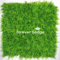 Forever Hedge image 4