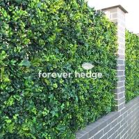 Forever Hedge image 3