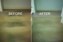 Carpet Cleaning Perth logo