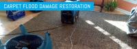 Squeaky Clean - Flood Damage Restoration Brisbane image 1