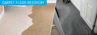 Squeaky Clean - Flood Damage Restoration Brisbane image 2