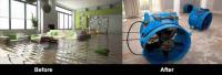 Masters Cleaner Flood Damage Restoration Melbourne image 1