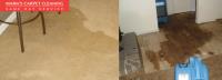 Marks Carpet Flood Damage Restoration Brisbane image 4