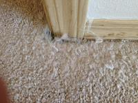 Next Day Cleaning - Carpet Repair Brisbane image 2