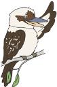 Kookaburra Window Cleaning logo