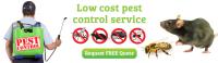 Local Pest Control Surfers Paradise image 6