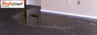 Fresh Carpet Flood Damage Restoration Canberra image 2