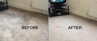 Carpet Cleaning Bondi image 5