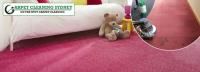 Carpet Cleaning Sydney NSW image 2