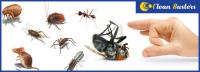 Pest Control Sydney image 2