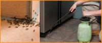 Pest Control Services image 5