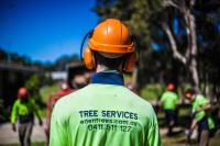 Eden Trees Arboriculture Services image 2