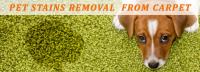 Carpet Cleaning Sydney image 8