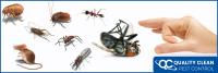 Pest Control Canberra Service image 2