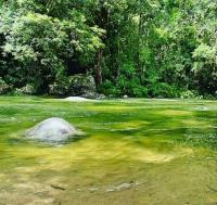 Cape Trib Connections image 3