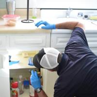 Pest Extermination Melbourne image 4